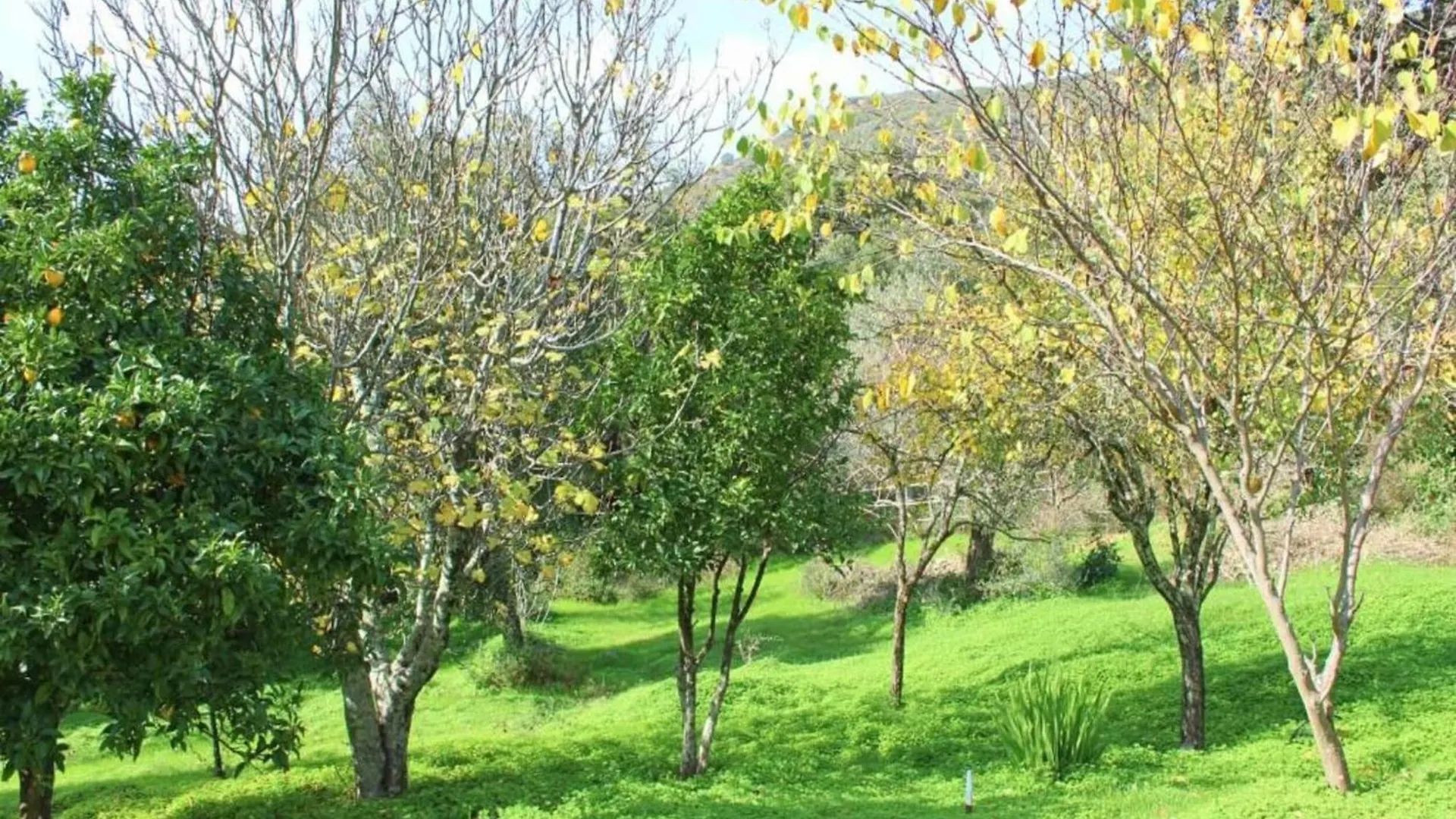 Holiday Home The Dog Alájar