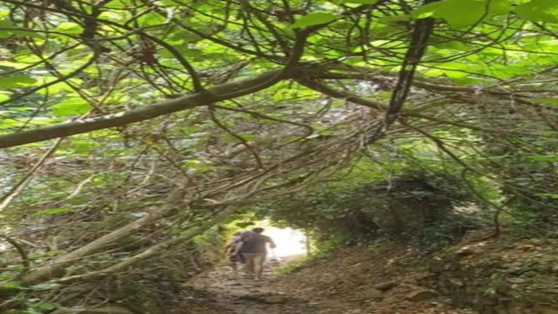 Holiday Home The Dog Alájar 스페인
