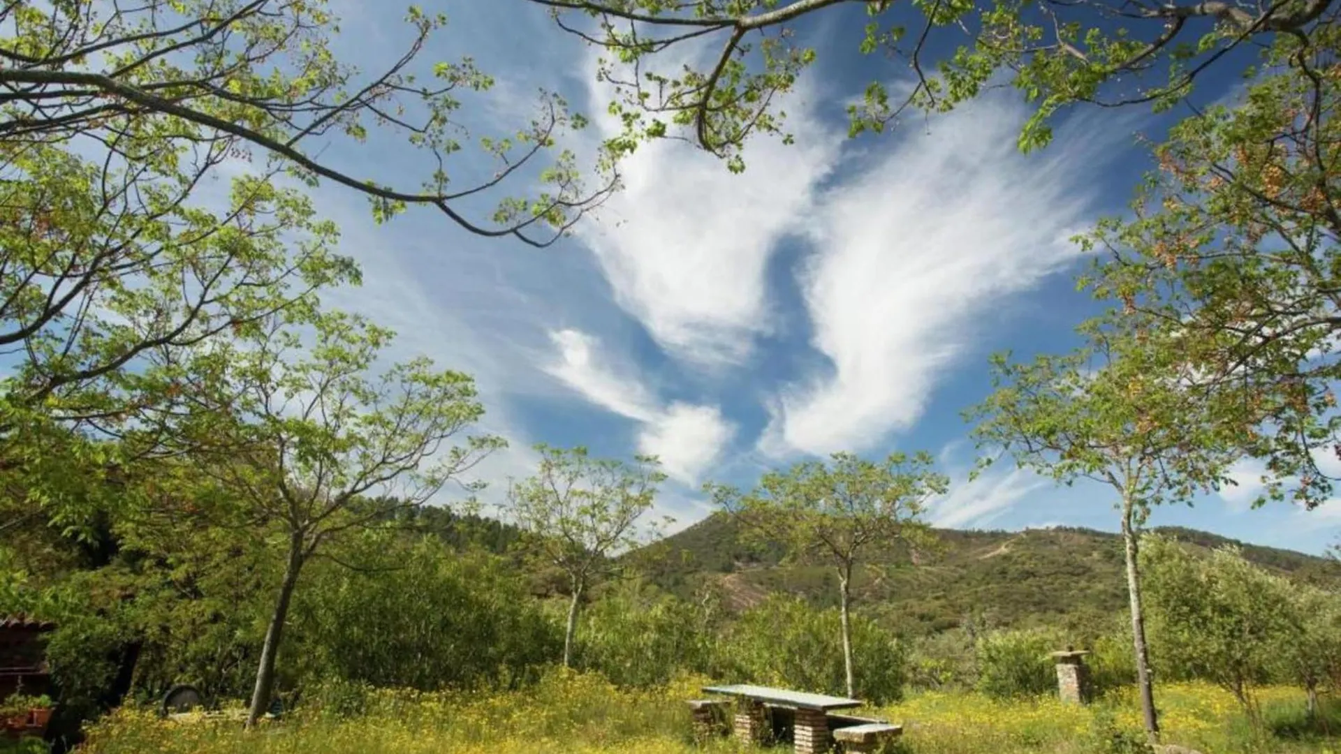 Holiday Home The Dog Alájar 0*,  스페인